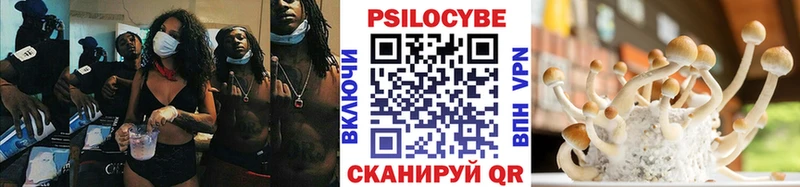 Галлюциногенные грибы прущие грибы  Звенигово 