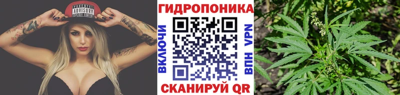 мега онион  купить наркотики сайты  Звенигово  Марихуана ГИДРОПОН 